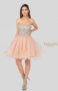 Terani Couture 1911P8016