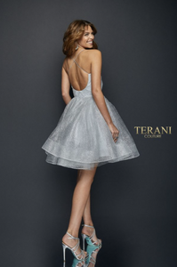 Terani Couture Fall 1921H0334